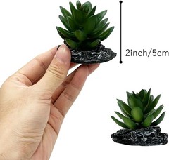 Reptile Artificial Plants Succulent Terrarium Decor Desert Rainforest Plant