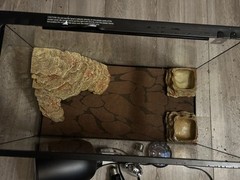 10gallon ReptileCage with light 2lightbulbs,the mat,the home,food and water bowl