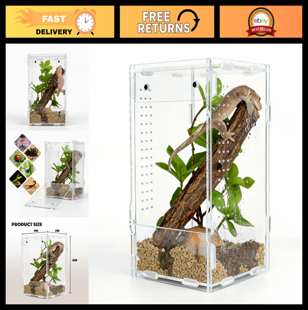 Acrylic Reptile Tank 5x5x8 – Terrarium for Crested Gecko, Lizards, Snakes & Spid