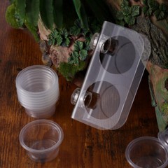 Suction Cup Feeding Bowl Reptile Gecko Ledge Magnetic Dish & Water