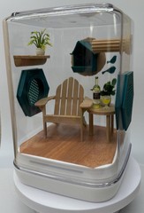 Bird watching jumping spider enclosure, terrarium, acrylic