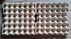 NEW Egg Crates Flats for Eggs Feeders Crickets Roaches Crested Geckos (15 Piece)