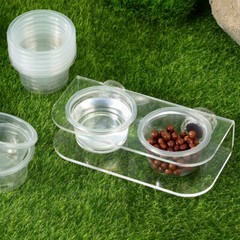 Suction Cup Feeding Bowl Reptile Gecko Ledge Magnetic Dish & Water