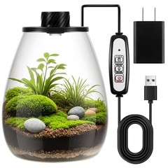 LED Glass Plant Terrarium Kit – Desktop Planter for Succulents, Moss & Mini Gard
