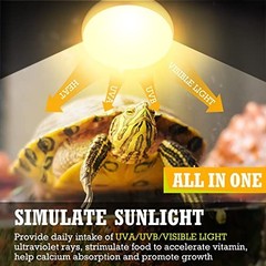 8 Pcs 100W Reptile Heat Lamp Bulbs – UVA Basking Light for Bearded Dragons, Turt