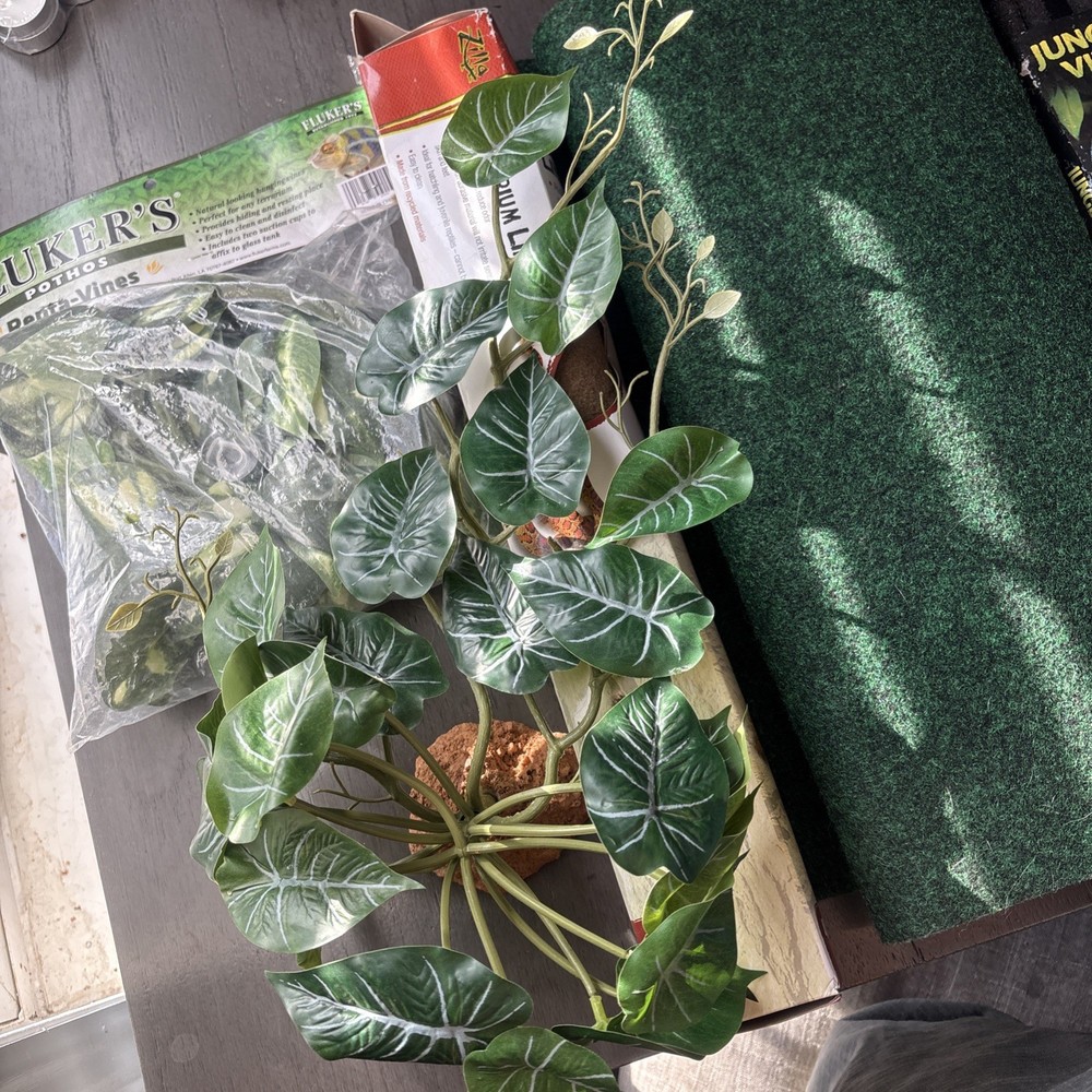 Lot of Terrarium Liner and Decor