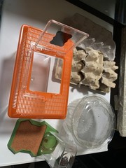 20 gallon terrarium with accessories