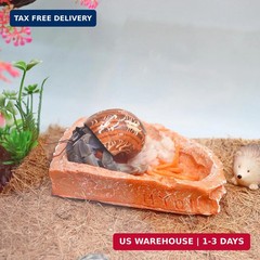3 Pack Reptile Food Dish, Resin Hermit Crab Food & Water Bowl, Reptile Feeding F