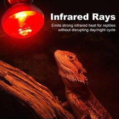 2 Pack Infrared Heat Lamp Bulbs, 100W Reptile Heat Emitter Infrared Basking S…