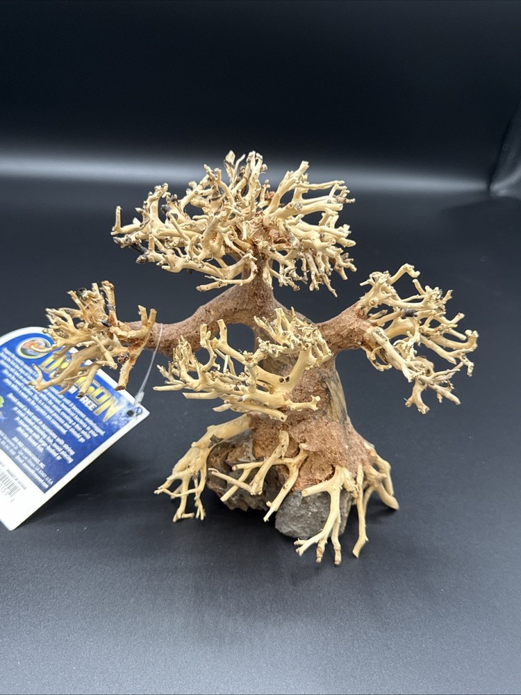Dragon Bonsai Tree For Aquariums- Size Small- Zoo Med