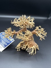 Dragon Bonsai Tree For Aquariums- Size Small- Zoo Med