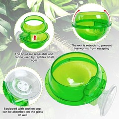 Tfwadmx Chameleon Bowl, Reptile Feeding Feeder,Worm Live Fodder green