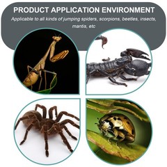 1Pcs Durable Acrylic Small Mantis Landscape and Breeding Box for Insect Storage