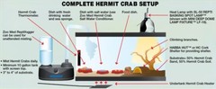 Zoo Med Reptihabitat Hermit Crab Kit – 10-Gallon