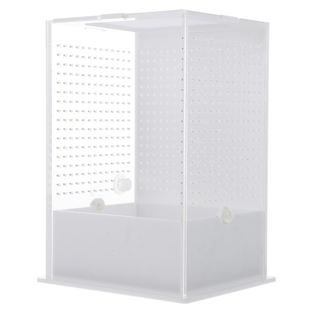 1Pcs Durable Acrylic Mantis Breeding Box Small Insect Observation Container