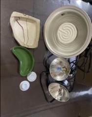 reptile supplies