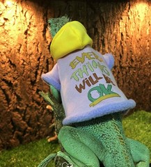 Lizard Clothes Bearded Dragon Hoodie Cotton Reptile Apparel Skin Protection