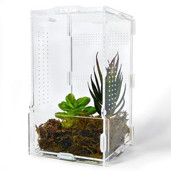 Jumping Spider Enclosure, Arboreal Tarantula Enclosure, Praying Mantis Terrar…