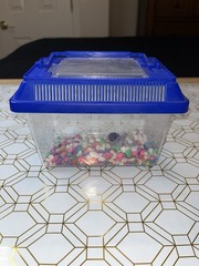 Rectangular Kritter Keeper Mini w/Blue Vented Lid – Pet Holding Habitat – 7x4x5