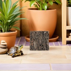 6Pcs Reusable Natural Cork Bark Panels Reptile Tank Background Coffee Color