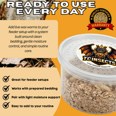 TC INSECTS Live Wax Worms Feeder Insects for Reptiles Amphibians Birds & More