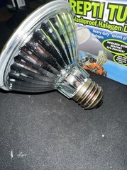 Reptile Lamp And Clamp [NEW]