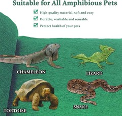 Large Customizable Reptile Carpet Liner – Safe for Turtles, Iguanas, & More