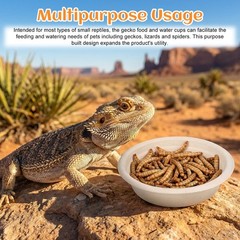 300 Pack 1 Oz Gecko Feeding Cups Food Cups Disposable Paper Bowls Reptile Wat…