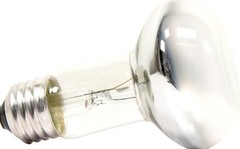 ZooMed (2 Pack) 75 Watts Reptile Basking Spot Lamp