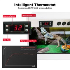 Reptile Enclosure W/Temperature Control 39x16x16” Reptile Tank Terrarium Cage