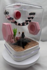 Jumping Spider Terrarium – The Pink Eclipse Cute Pet House Enclosure