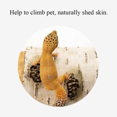 Artificial Birch Log Tortoise Small Animal Habitat Bearded Dragon Hide Cave↑