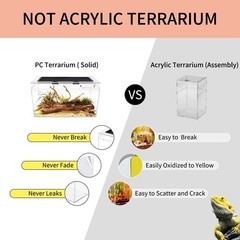 Reptile Growth Terrarium Complete Set, 50 x 25 x 27 cm, Faunarium for Snails