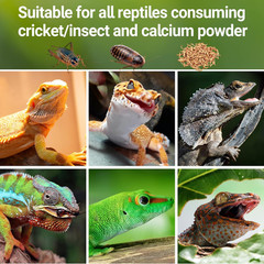 Reptile Cricket Calcium Powder Mixer, Cricket Keeper Shaker for Bearded Dragon G