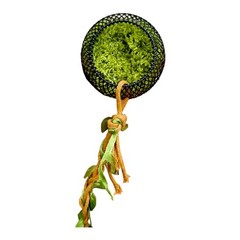 Realistic Tree Hollows Reptiles Shelter with Strong for Climbing Pet