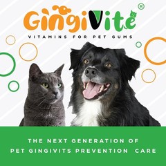 GINGIVITE Dog Teeth Cleaning Gel Vet Approved | Eliminate Plaque, Tartar Bad…