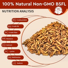 BUNTIE WORMS Dried Black Soldier Fly Larvae 5LB, 5 Pound (Pack of 1), YELLOW