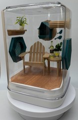 Bird watching jumping spider enclosure, terrarium, acrylic