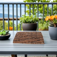 2Pcs Cork Bark Terrarium Background Natural Texture Reptile Habitat Decor