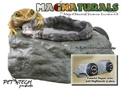 MagNatural Feed and Water Ledge Granite – Pet-Tekk