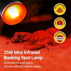 Nano Dual Dome Reptile Light Fixture and 25W Reptile Heat Lamp Combo Pack, Mi…