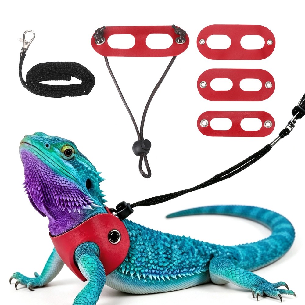 3Pcs Bearded Dragon Lizard Leash Harness Soft Leather S/M/L Red