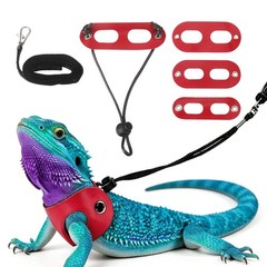 3Pcs Bearded Dragon Lizard Leash Harness Soft Leather S/M/L Red