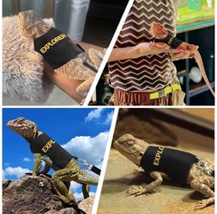 Bearded Dragon Harness and Leash-Bearded Dragon Clothes Lizard Accessories Stuff