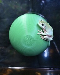 Gecko Frog Ball Cave Hide Amphibian Reptile Tank Enrichment Decor Decoration