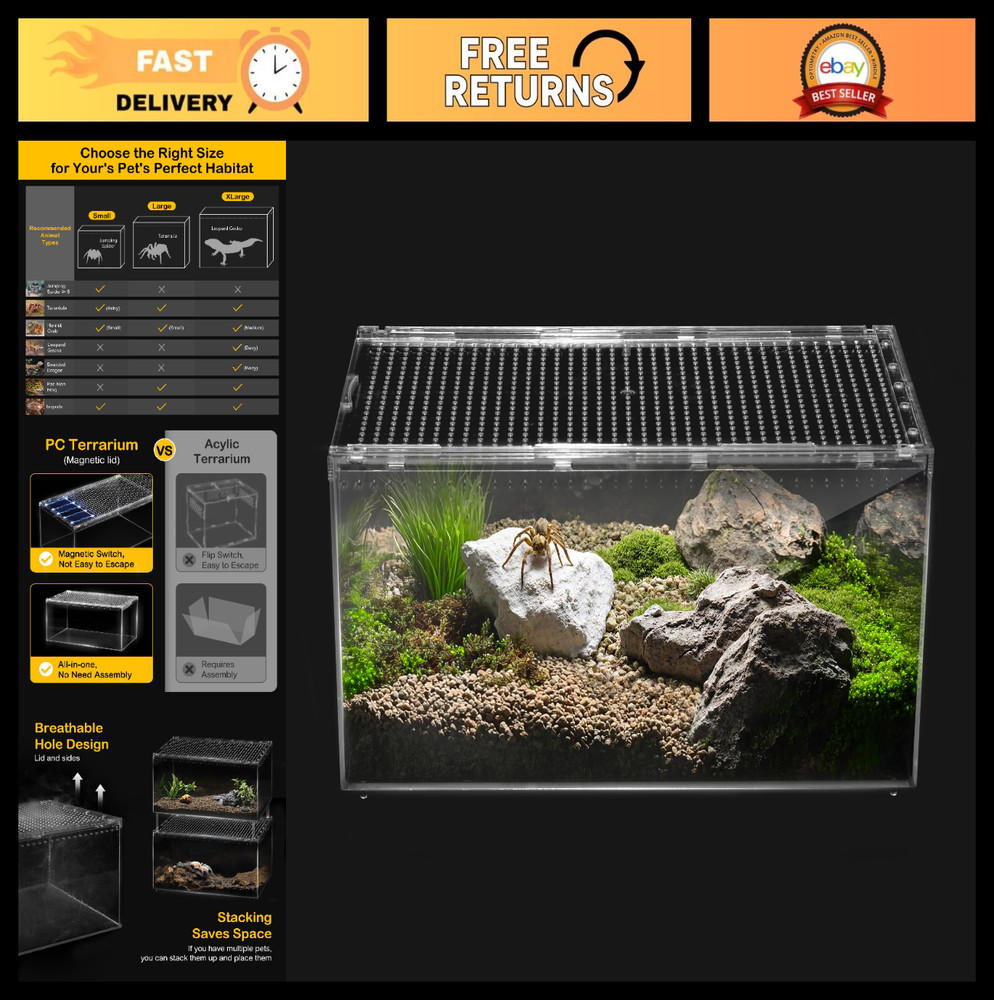 Large Escape Proof Reptile Tank with Magnetic Lid | Easy Clean Tarantula & Frog