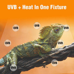 Carolina Custom Cages T5HO 46” UVB Reptile Light Fixture 54W, Bearded Dragon and