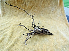 NATURAL SPIDER LIKE ROOT WOOD REPTILE TERRARIUM DECORATION ART GARDEN PET FLORAL