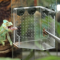 Weysat Reptile Corner Feeder Box Acrylic 4 Suction Cups