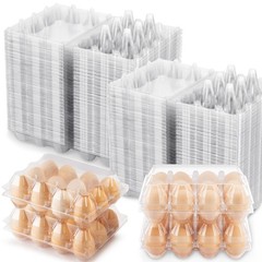 SINLUCESCE 100 Packs Egg Cartons Cheap Bulk，Plastic for 12 Eggs, Clear Eg